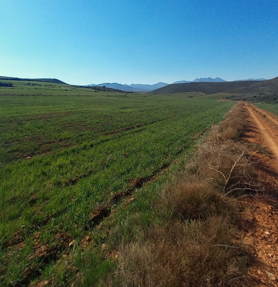 Commercial Property for Sale in George Rural Western Cape